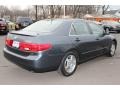 2005 Graphite Pearl Honda Accord Hybrid Sedan  photo #5