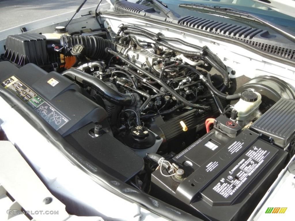 2004 Ford Explorer Eddie Bauer 4.6 Liter SOHC 16-Valve V8 Engine Photo #60510390