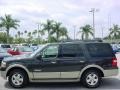 Carbon Metallic 2007 Ford Expedition Eddie Bauer Exterior