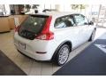 Ice White - C30 T5 Photo No. 2