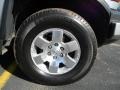 Titanium Metallic - FJ Cruiser 4WD Photo No. 9