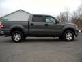 Dark Shadow Grey Metallic - F150 XLT SuperCrew 4x4 Photo No. 9