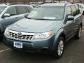 2012 Sage Green Metallic Subaru Forester 2.5 X Premium  photo #1