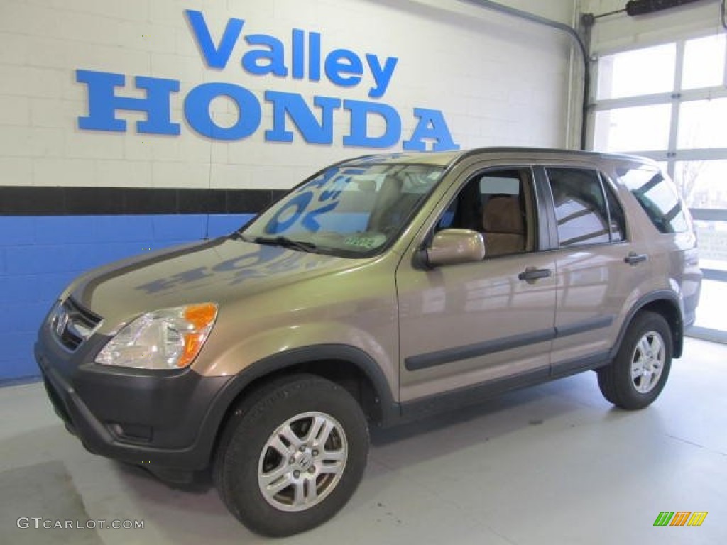 2004 CR-V EX 4WD - Mojave Mist Metallic / Saddle photo #1