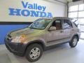 2004 Mojave Mist Metallic Honda CR-V EX 4WD  photo #1