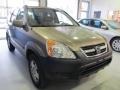 2004 Mojave Mist Metallic Honda CR-V EX 4WD  photo #4