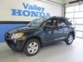 Black Forest Pearl - RAV4 4WD Photo No. 1