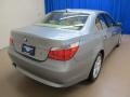 Silver Grey Metallic - 5 Series 530xi Sedan Photo No. 9