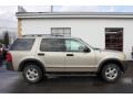 2004 Pueblo Gold Metallic Ford Explorer XLS 4x4  photo #4