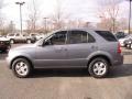 Alpine Gray - Sorento LX Photo No. 9