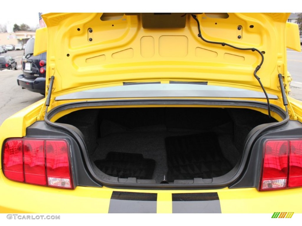 2006 Mustang V6 Premium Coupe - Screaming Yellow / Dark Charcoal photo #5