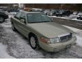 Gold Ash Metallic - Grand Marquis LS Photo No. 19