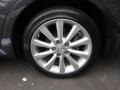Smoky Granite Mica - IS 250 AWD Photo No. 6