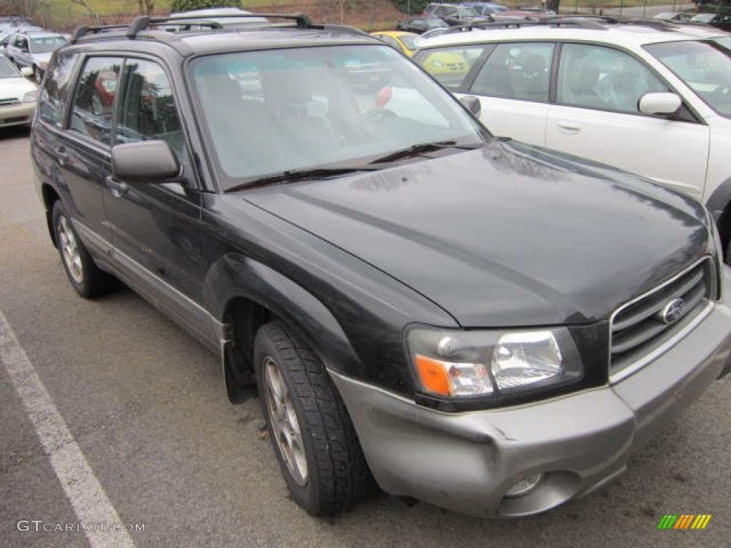 2004 Forester 2.5 XS - Java Black Pearl / Gray photo #1