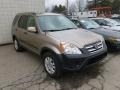 2005 Sahara Sand Metallic Honda CR-V EX 4WD  photo #1