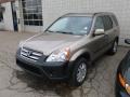 2005 Sahara Sand Metallic Honda CR-V EX 4WD  photo #3