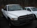 2001 Bright White Dodge Ram 1500 Regular Cab  photo #3