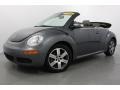 Platinum Grey - New Beetle 2.5 Convertible Photo No. 9