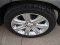 Tungsten Metallic - 200 Touring Photo No. 26