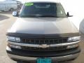 Light Pewter Metallic - Silverado 1500 LS Regular Cab Photo No. 6