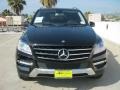Black - ML 350 4Matic Photo No. 2