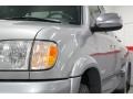 Silver Sky Metallic - Tundra SR5 TRD Access Cab 4x4 Photo No. 11