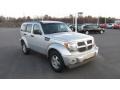 Bright Silver Metallic - Nitro SE 4x4 Photo No. 4