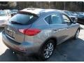 Platinum Graphite - EX 35 Journey AWD Photo No. 6