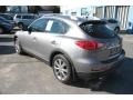Platinum Graphite - EX 35 Journey AWD Photo No. 10