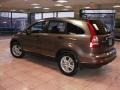 2010 Urban Titanium Metallic Honda CR-V EX AWD  photo #5