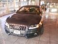 Meteor Grey Pearl Effect - S5 4.2 quattro Photo No. 32