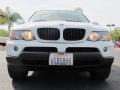 Alpine White - X5 3.0i Photo No. 2