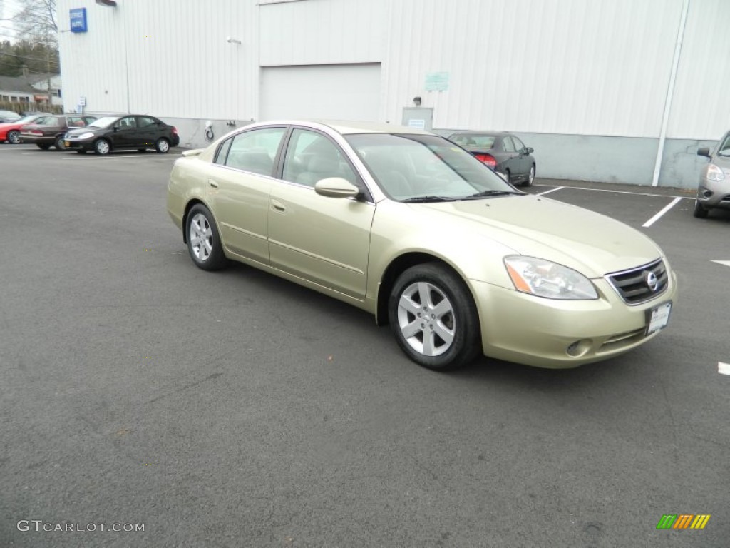 2002 Altima 2.5 S - Velvet Beige / Blond Beige photo #7