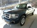 Hunter Green Pearlcoat - Dakota Big Horn Extended Cab 4x4 Photo No. 5