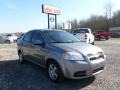 Medium Gray 2010 Chevrolet Aveo LS Sedan