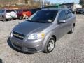 Medium Gray - Aveo LS Sedan Photo No. 3
