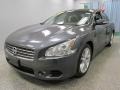 Ocean Gray - Maxima 3.5 SV Photo No. 3