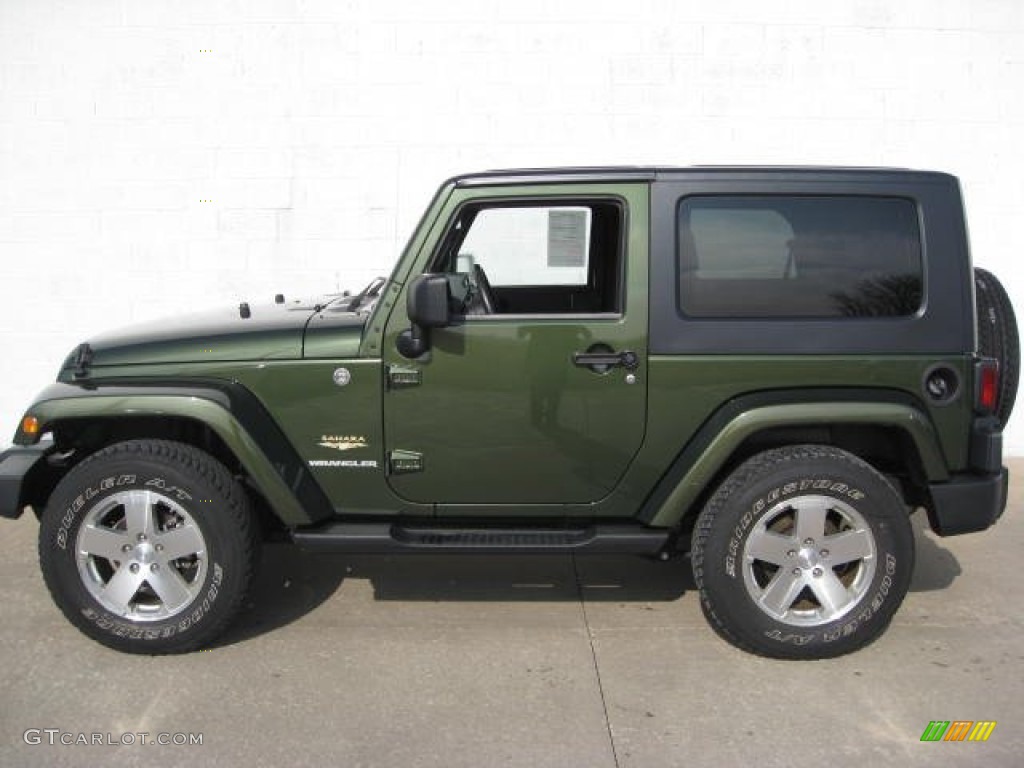 2009 Wrangler Sahara 4x4 - Jeep Green Metallic / Dark Slate Gray/Medium Slate Gray photo #1