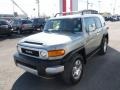 Titanium Metallic - FJ Cruiser 4WD Photo No. 7