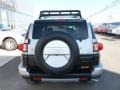 Titanium Metallic - FJ Cruiser 4WD Photo No. 10