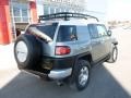 Titanium Metallic - FJ Cruiser 4WD Photo No. 11