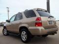 Mesa Beige Metallic - MDX Touring Photo No. 20