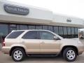 Mesa Beige Metallic - MDX Touring Photo No. 28