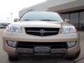 Mesa Beige Metallic - MDX Touring Photo No. 30
