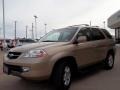 Mesa Beige Metallic - MDX Touring Photo No. 31