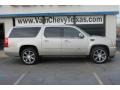 Quicksilver - Escalade ESV AWD Photo No. 5