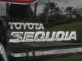 2005 Black Toyota Sequoia SR5  photo #9