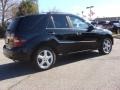 Black - ML 350 4Matic Photo No. 5