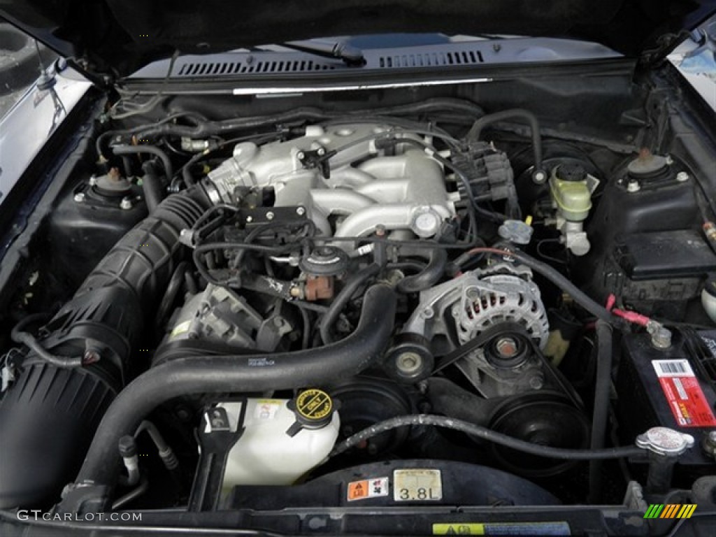 2003 Mustang V6 Coupe - True Blue Metallic / Dark Charcoal photo #24