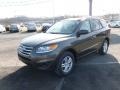 Cabo Bronze - Santa Fe GLS AWD Photo No. 3